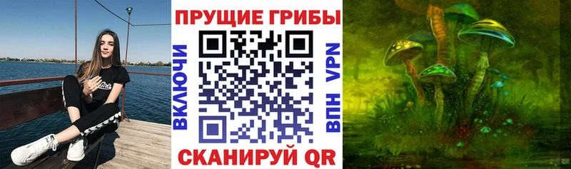 Псилоцибиновые грибы Magic Shrooms  наркота  Аркадак 